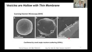 BuildaCell seminar Julie Champion Protein Vesicles [upl. by Arvin715]