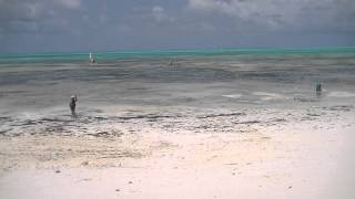 The tides of Zanzibar  one hour timelapse Jambiani Zanzibar  September 2012 [upl. by Ecirtnas]