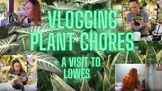 Plant Care rearranging unboxing and repotting [upl. by Garfinkel]