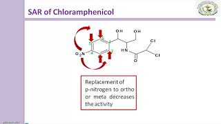 SAR of Chloramphenicol antibiotic [upl. by Aleacim592]