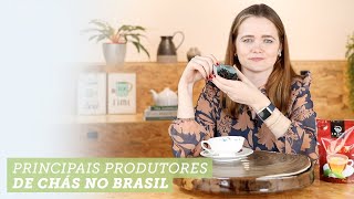 Principais produtores de chás no Brasil 🍵🍃 [upl. by Adnhoj]