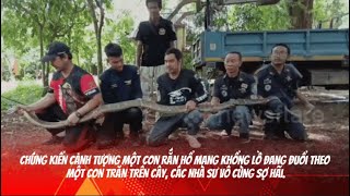 nhà sư sợ hãi khi chứng kiến cảnh tượng đáng kinh ngạc [upl. by Clymer875]