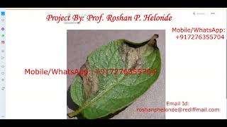 Potato Leaf Disease Detection Using CNN Convolutional Neural Network  Python Source Code Projects [upl. by Rotman]