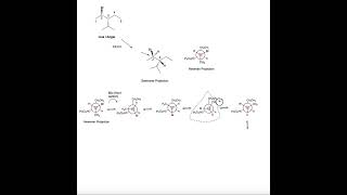 Newman Projections and Conformational Analysis of Linear Alkanes [upl. by Airitac560]