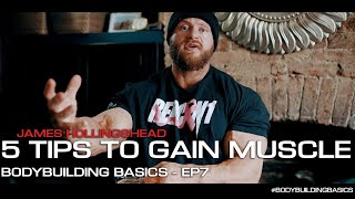 5 KEY TIPS TO GAIN MUSCLE Like a Pro  Bodybuilding Basics EP7 [upl. by Elrahc]