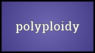 Polyploidy Meaning [upl. by Greenman583]