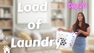 Transform Your Laundry Routine with This 1 Simple Habit  FlyLady Baby Steps Day 20 [upl. by Einnol]