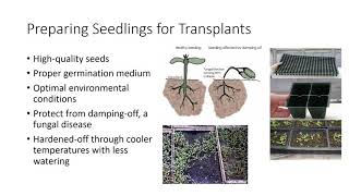 Seed Propagation [upl. by Mohandis649]