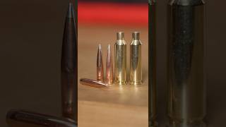 Hornady NEW 2025 Offerings in 25 caliber [upl. by Auhsuj]