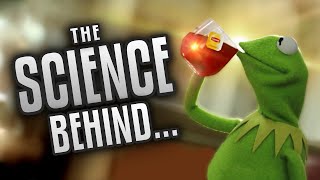 The Science Behind Kermit Memes  Some Boi Online [upl. by Ahsoym]