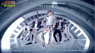 Vietsub  Kara INFINITE 인피니트  Man In Love [upl. by Onileba]