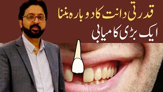 How to REGROW Your Teeth Naturally with a Japanese Research Medicine [upl. by Madison]