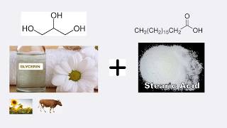 What Is Glyceryl Stearate And Is It Safe To Use [upl. by Nimsay]