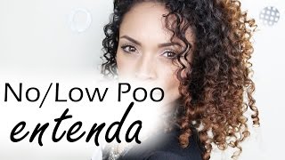 O que é No e Low Poo  Novidades Tô de Cacho por Fernanda Ferreira [upl. by Kerek]