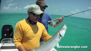 Saltwater Fly Fishing in the Florida Keys  Fly Fishing a Wreck [upl. by Hartnett515]