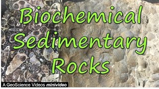 Biochemical Sedimentary Rocks [upl. by Vanni]