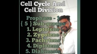 Meiosis 1  Prophase1  Leptotene  Zygotene  Pachytene  Diplotene  Diakinesis [upl. by Kippy]