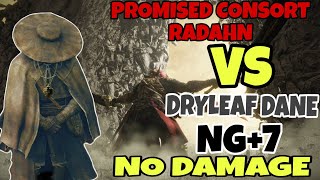 ELDEN RING  PROMISED CONSORT RADAHN VS DRYLEAF DANENG7NO DAMAGEMARTIAL ARTS ONLY [upl. by Dody]