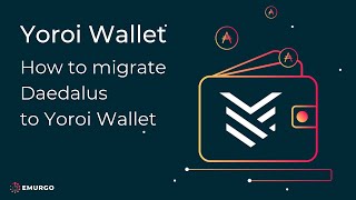 How to migrate Daedalus to Yoroi Wallet [upl. by Leirol20]