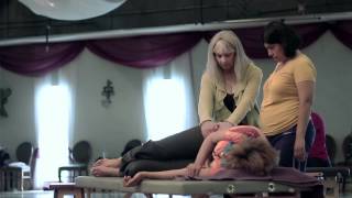 Feldenkrais Trainings and Information [upl. by Noisla]