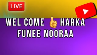 HANAA YOU TUBE CHANNEL welcome 🙏 harka funee nooraa ❤️ 😀 [upl. by Atiekan393]