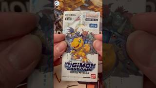 Ver 00 amp SB Ver 10 Korean Packs Hit or Miss Episode 7  Digimon Card Game amp Digimon TCG [upl. by Rhodia]