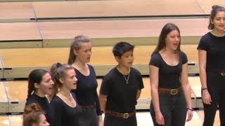 Kammerchor Gymnasium LeonhardSchweiz Und äs Zysäli  EJCF Basel 2018 [upl. by Keir]