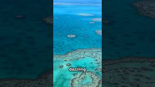 The Mystical Great Barrier Reef amazingfacts travel adventure [upl. by Poul]