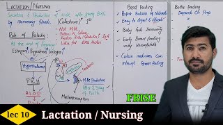 Lactation or Nursing FBISE CLASS 12 biology  Irtisams Biology [upl. by Ika]