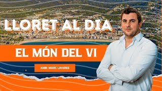 LLORET AL DIA  EL MÓN DEL VI  FITEL TELEVISIÓN [upl. by Atila]