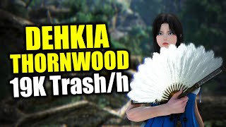 Succession Woosa Dehkia Thornwood Forest  19K Trashh Lv 2 LS  Black Desert Online [upl. by Marthena67]