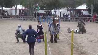 Jousting  2nd Session Double Unhorsing Mark Desmond amp Charlie Andrews Sherwood Forest Faire [upl. by Sherris224]