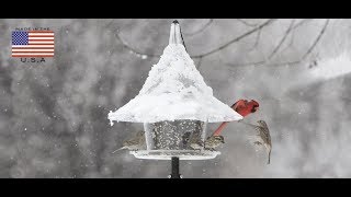 How to install the Pole Mount Kit to the Sky Cafe Bird Feeder [upl. by Laeria]