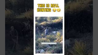 This is called REAL Hunting 😂🤣🤣 hunting wildhunting [upl. by Odel389]