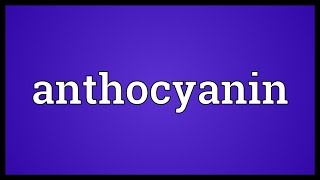 Anthocyanin Meaning [upl. by Kristin]