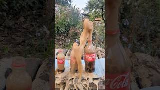 “Triple Explosion Mentos and CocaCola in Three Sizes” 😱🔥🍾 experiment mentos cola [upl. by Turnbull]