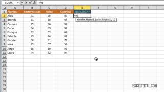 Función Y en Excel [upl. by Abram]