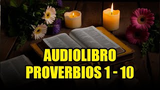 LA BIBLIA HABLADA quot PROVERBIOS 1 AL 10 quot COMPLETO ANTIGUO TESTAMENTO [upl. by Shakti137]