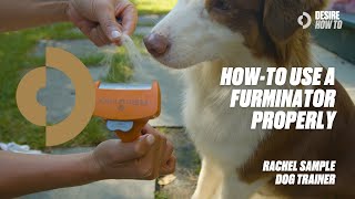 HowTo Use a Furminator Properly  Dog Trainer Rachel Sample [upl. by Leseil]