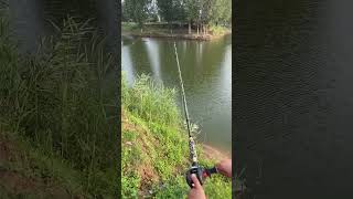 Best fishing rod for fishing viralvideo youtubeshorts [upl. by Onyx]