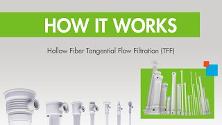 How it Works Hollow Fiber TFF Tangential Flow Filtration [upl. by Lanoil133]