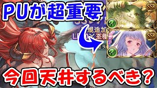 【グラブル】グラフェス 超重要ピックアップ！ 今回天井するべき？（ガチャ）（グランデフェス）「グランブルーファンタジー」 [upl. by Washburn]