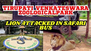 animal safari tirupati  tirupati venkateswara zoological park animal safari😳 [upl. by Accissej636]