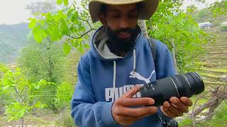 Cheapest Lens  Canon EF 70300mm f456 Lens  Bird Photography 🔥 birds canon photography [upl. by Adnovoj]