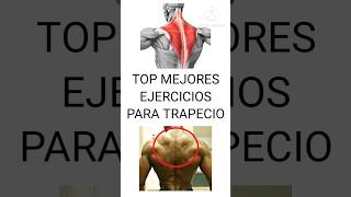 TOP MEJORES ejercicios para TRAPECIO  mejores ejercicios para hipertrofiar el trapecio [upl. by Merari82]