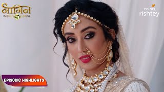 Naagin S5  नागिन S5  Episodic Highlights  Ep 40  42 [upl. by Nirek132]