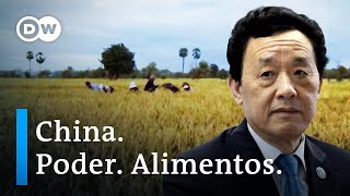 La influencia china en la FAO  DW Documental [upl. by Junette899]