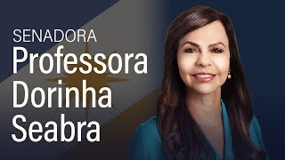 Professora Dorinha comenta pontos do projeto do Novo Ensino Médio aprovado na Câmara – 10724 [upl. by Narmis]