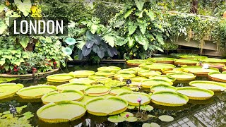 Kew Gardens 🍂🌿 Largest Botanical Garden in the WORLD 🌍  London Walking Tour [upl. by Micki]