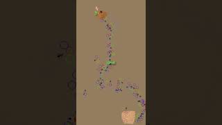 Ant Colony Simulation shorts [upl. by Donald]